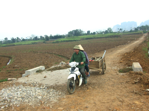 Xã Dũng Phong, huyện Cao Phong có 7/13,5 km (52%) đường trục chính nội đồng được cứng hóa phục vụ nhu cầu phát triển sản xuất của người dân.